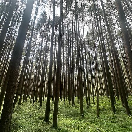 Deodar Village Homestay Devalsari Mussoorie Kültér fotó