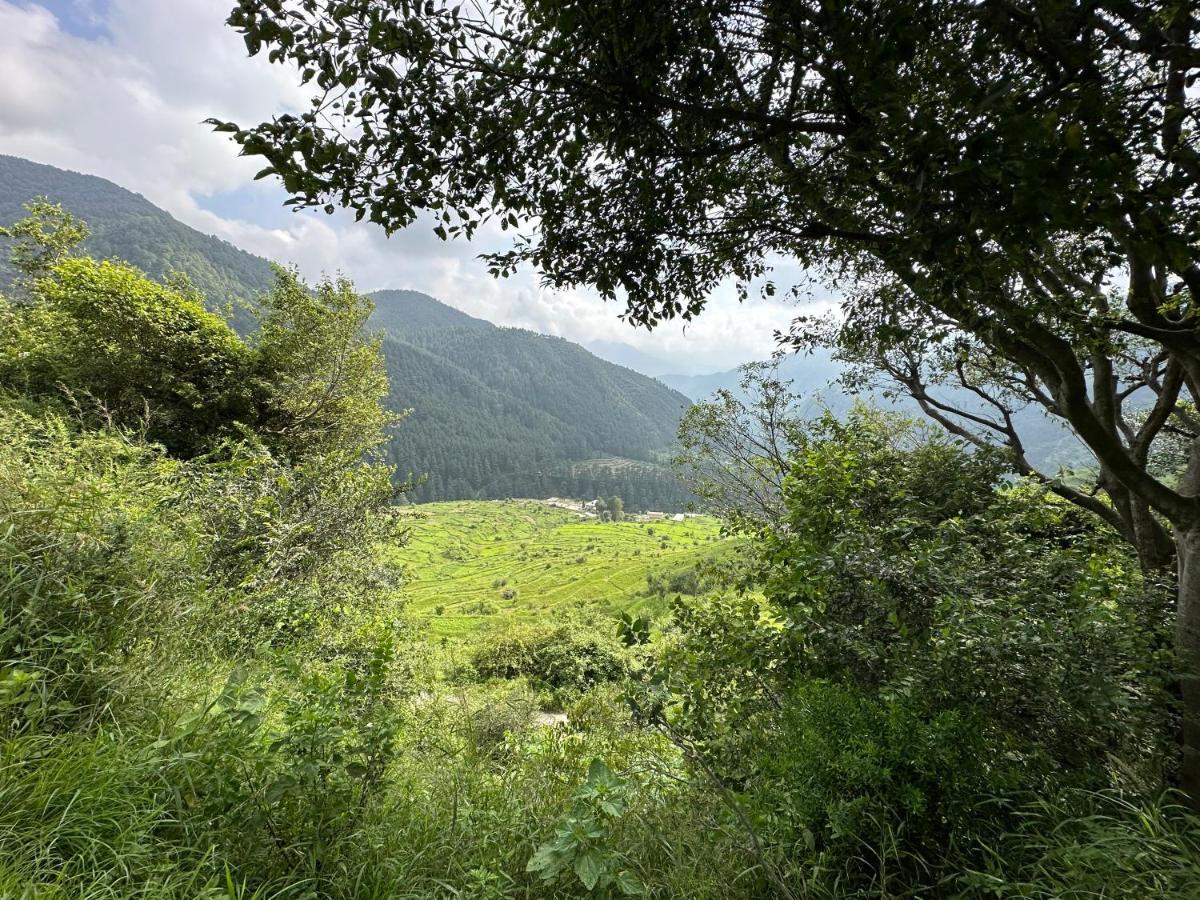 Deodar Village Homestay Devalsari Mussoorie Kültér fotó