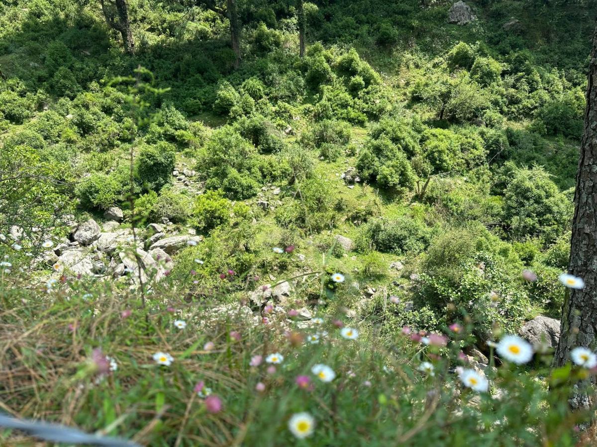 Deodar Village Homestay Devalsari Mussoorie Kültér fotó