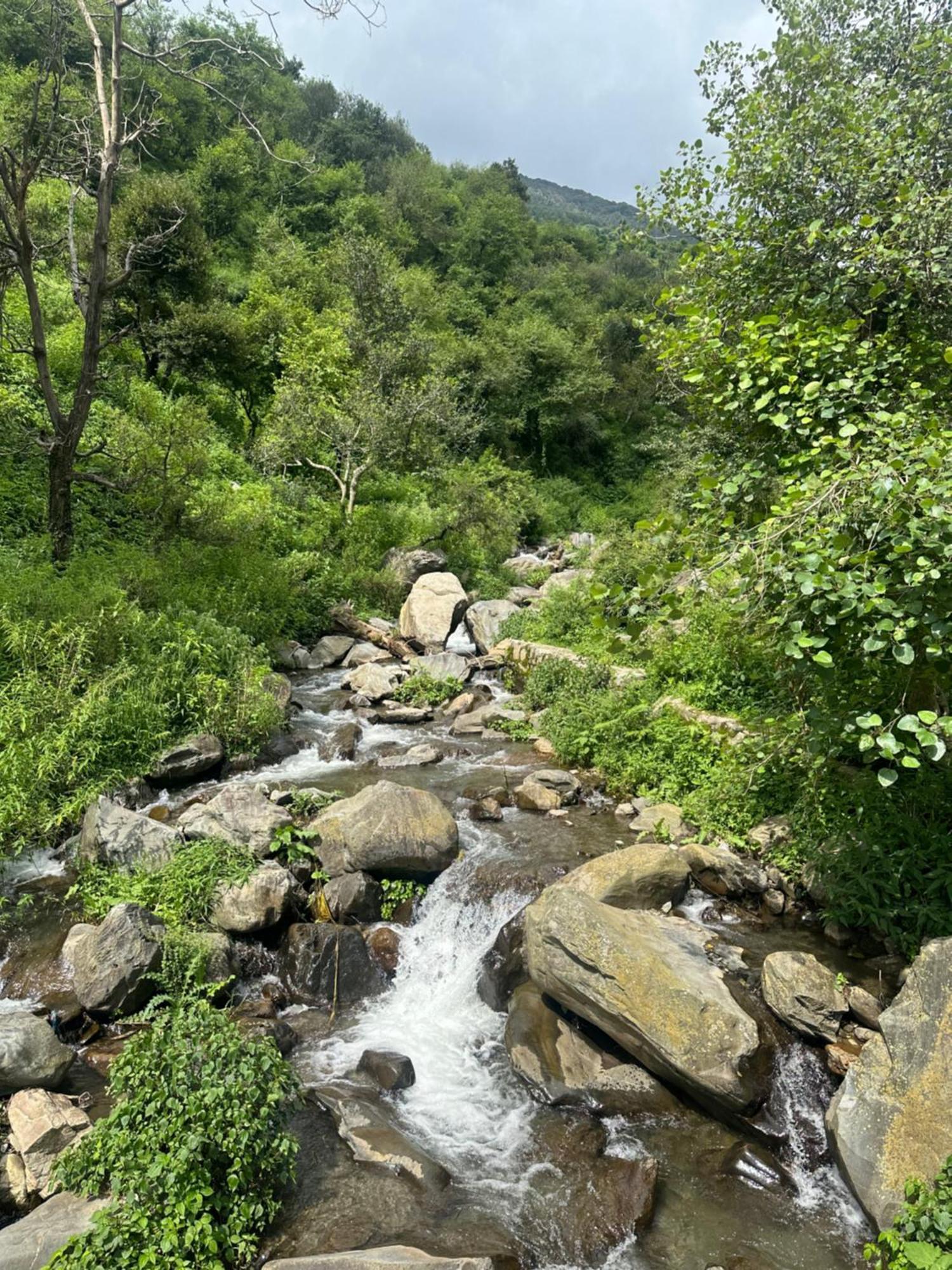 Deodar Village Homestay Devalsari Mussoorie Kültér fotó