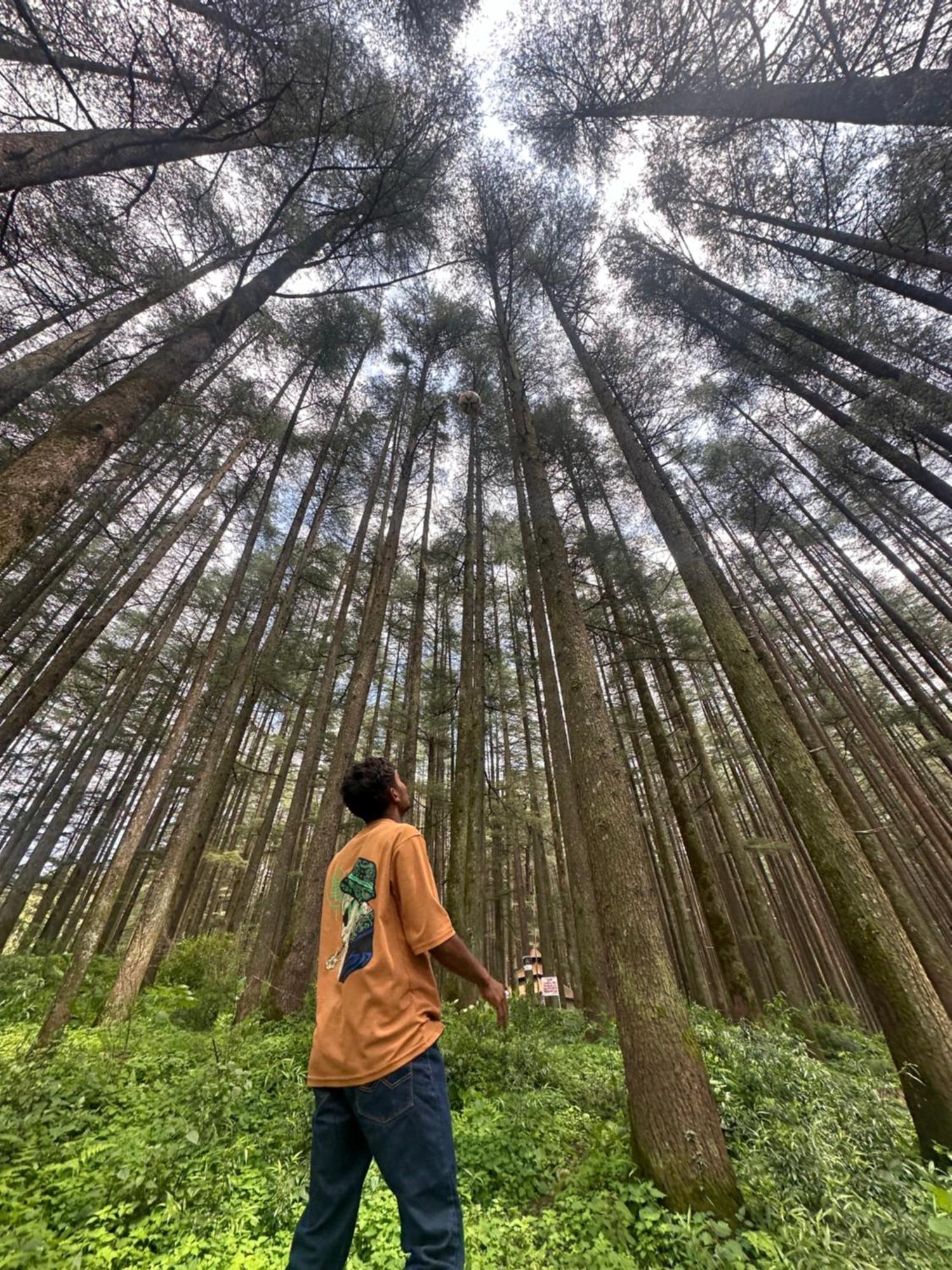 Deodar Village Homestay Devalsari Mussoorie Kültér fotó