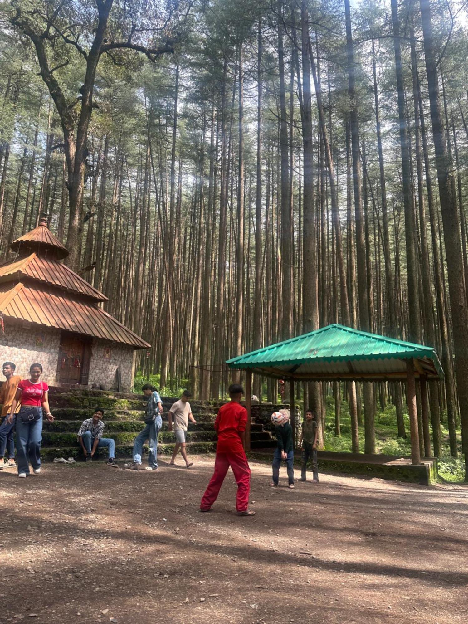 Deodar Village Homestay Devalsari Mussoorie Kültér fotó